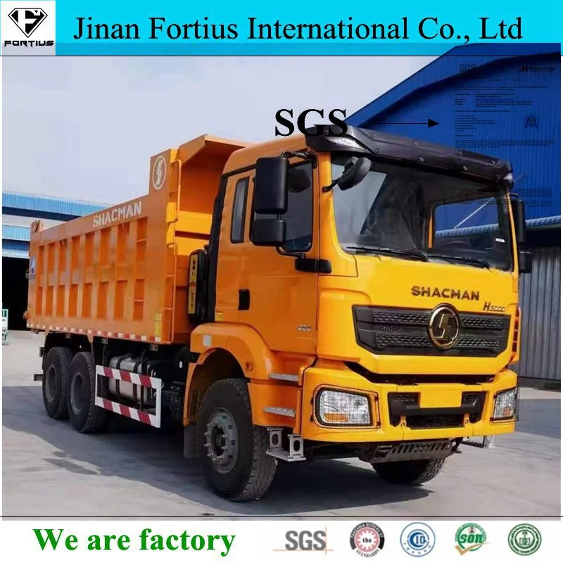 25t China Heavy Truck Sinotruk Sinotruck HOWO Shacman H3000 6X4/10 Tyre Dump/Dumper Truck Tractor Cargo Lorry Truck for African Market