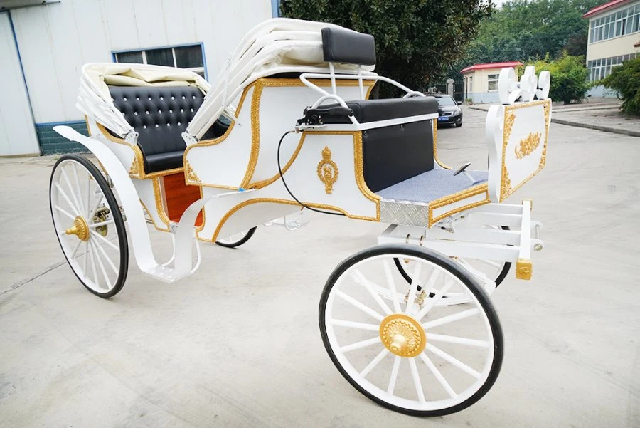 Traditional Transport Carriage Vehicle/Sightseeing White Horse Carriage/Pumpkin Horse Wagon