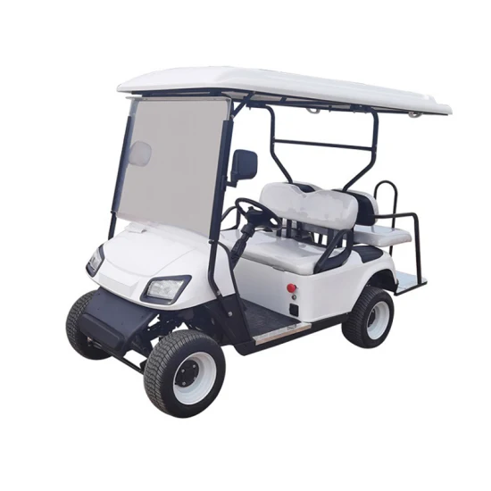 Familientransport 2-Sitzer / 4-Sitzer Smart Golf Cart Street Golf Trolley Elektrofahrzeuge