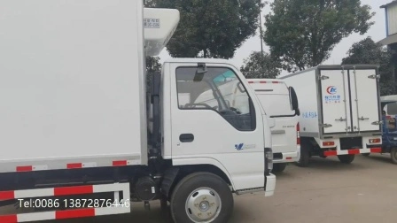 Japan Isuzu 600p 4X2 Typ 5tons 6 Tonnen gekühlter Eiswagen