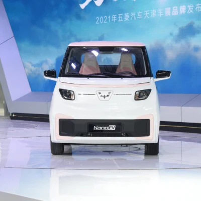 Hergestellt in China Günstiges New Energy Elektrofahrzeug Wuling Nano Zootopia Judy Special Edition Mini EV zum Verkauf